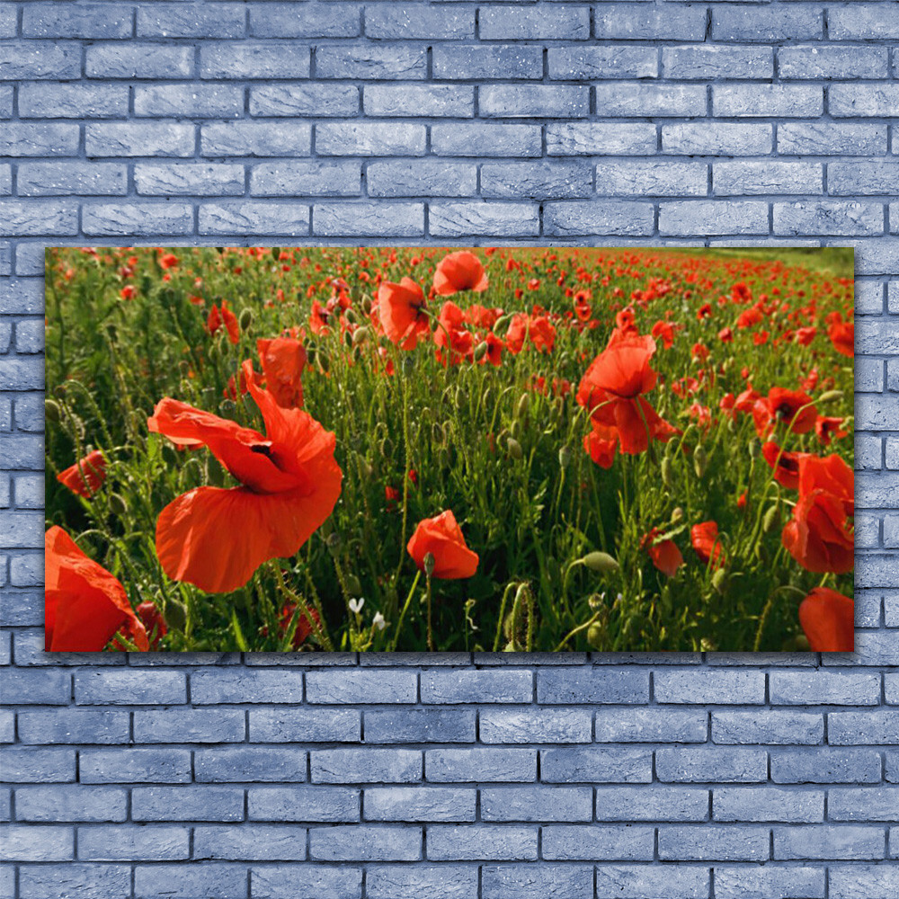 Tableau sur verre Coquelicots 140x70cm anti-reflet et facile à nettoyer
