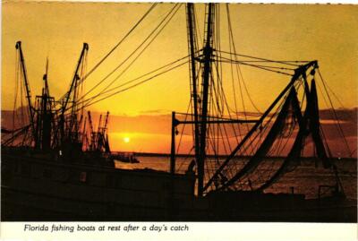 Florida Fishing Boats At Rest After A Day's Catch Postcard