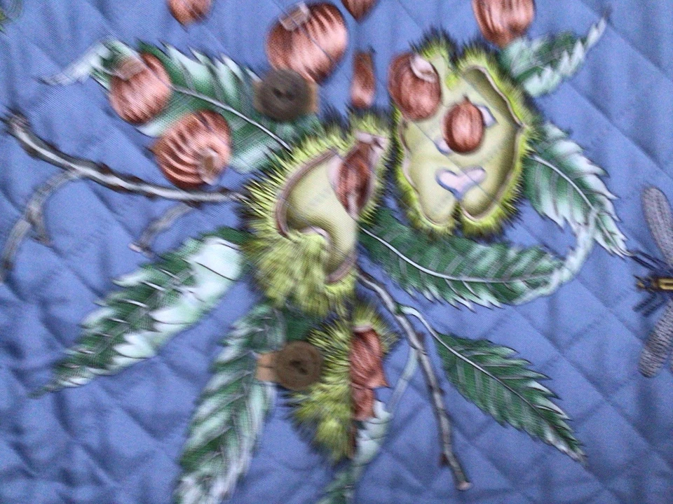 Jaqueta acolchoada j mclaughlin azul seda frutas e borboletas, 2 bolsos tamanho. Grande. - Imagem 3 de 4