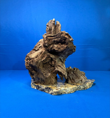 Aquarium Fish Tank Terrarium Aquascape  Manzanita Root Granite Base 6.11 lb