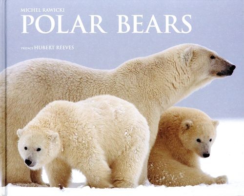 Polar Bears