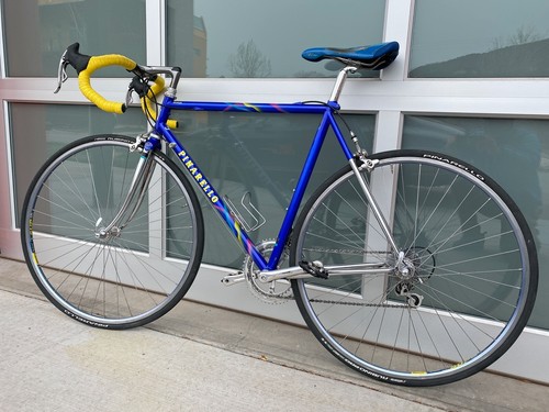 1994 Pegoretti Designed Pinarello Dyna | eBay