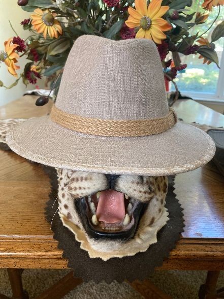 STETSON MENS SAFARI FEDORA HAT M NEW TEXTURED COTTON SUN SHADY HIKE  FISH