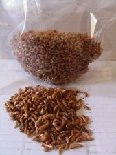 GAMMARUS LYOPHILISE ALIMENT POISSONS TROPICAUX POISSONS ROUGES KOI TORTUES D'EAU