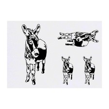 4 x 'Friendly Donkey' Temporary Tattoos / Transfers TO00007636 