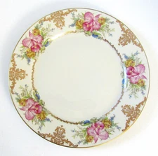 Vintage ROSENTHAL US Zone 10" Dinner Plate CONTINENTAL 824H WINIFRED