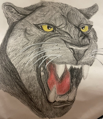 Panther Realism Hand-Drawn Colored Pencil Drawing Original Art
