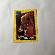 1991 Impel WCW - Terry Taylor #70