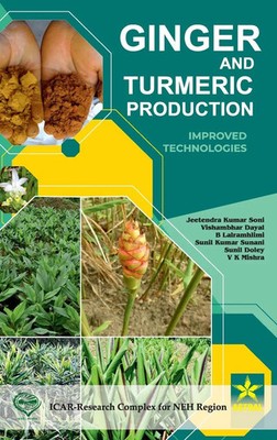 Jeetendra Kumar Soni (u. a.) | Ginger and Turmeric Production | Buch | Englisch