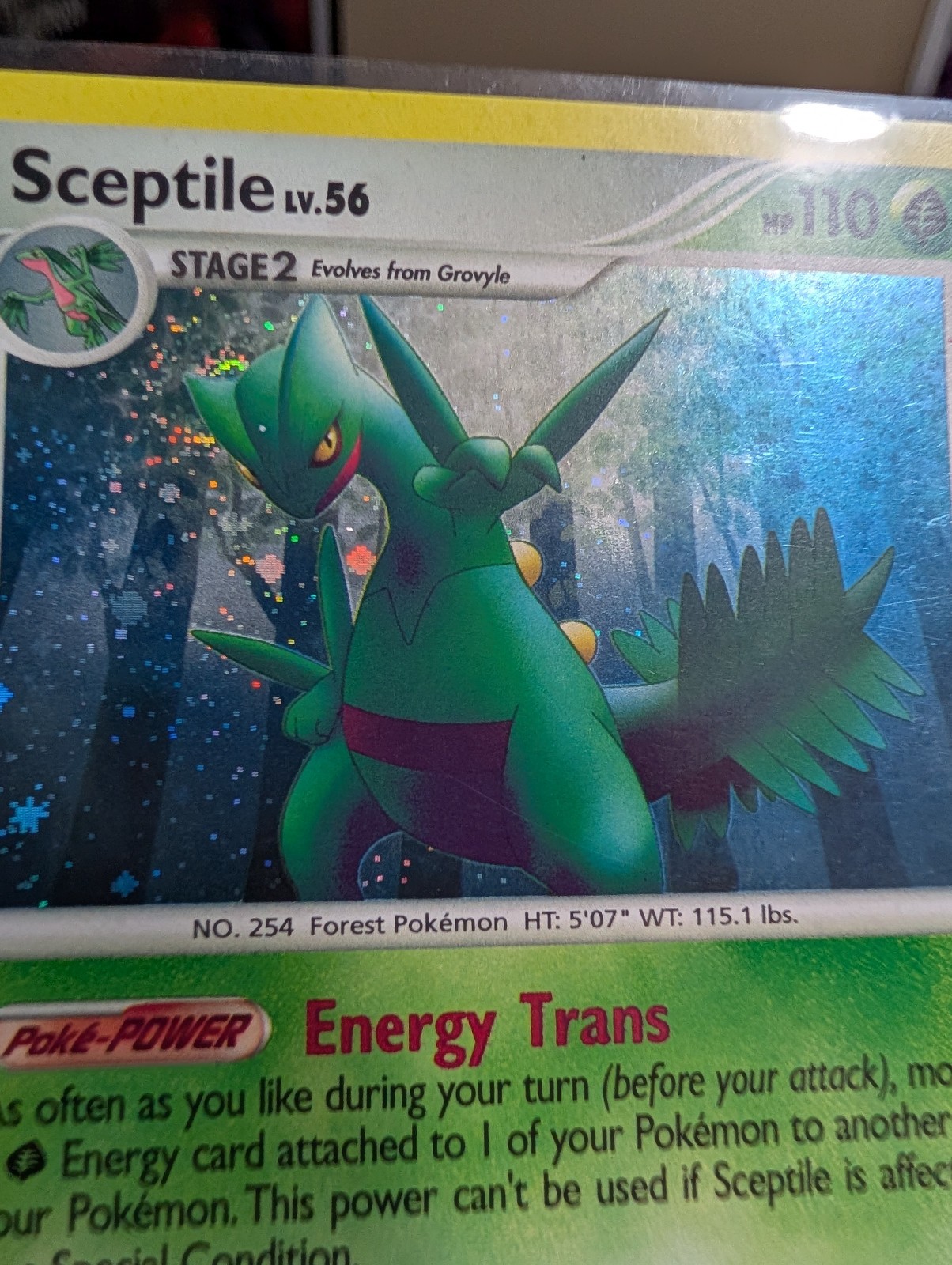 Pokémon TCG - Sceptile 10/100 Stormfront Holo Rare SWIRL! 🌀 ENGLISH NEAR MINT