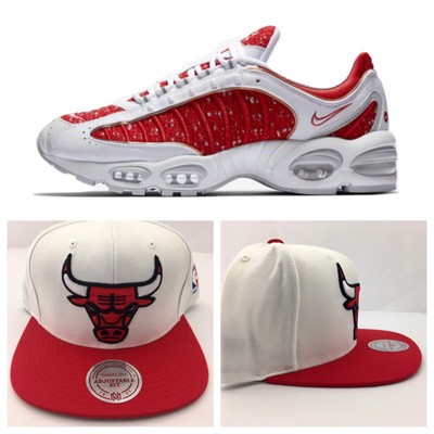 supreme chicago bulls shoes