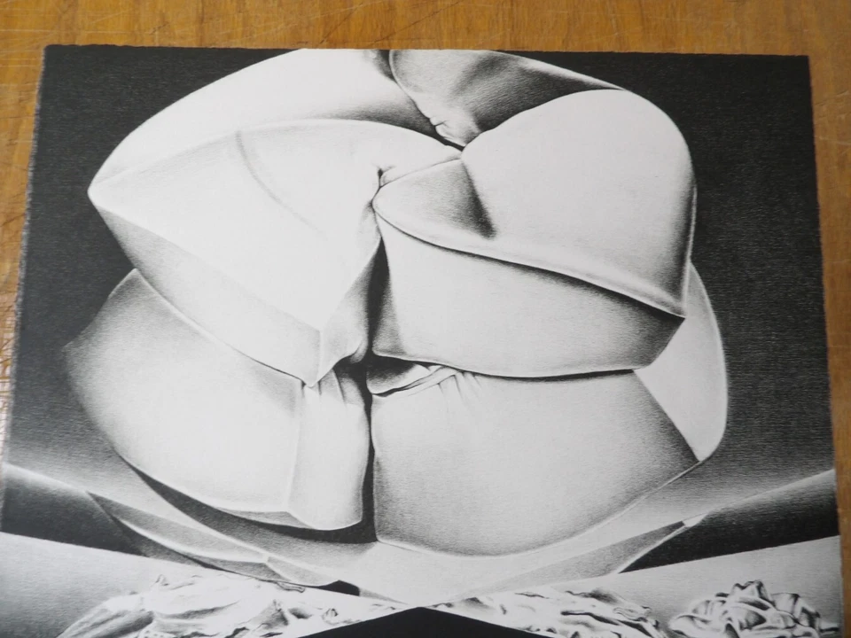 James Butler "Sponge-Cake" LITOGRAFÍA EN COLOR ESTUDIO JUNTO AL LAGO 1971 Foto 4 de 4