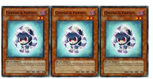 Yugioh- 3X Chrysalis Pantail - Common - 1st Edition - TAEV-EN007 - Near Mint