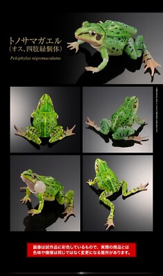 初代BD-frog Horned Frog Figure Set of 4 Complete Bandai Creature Encyclopedia