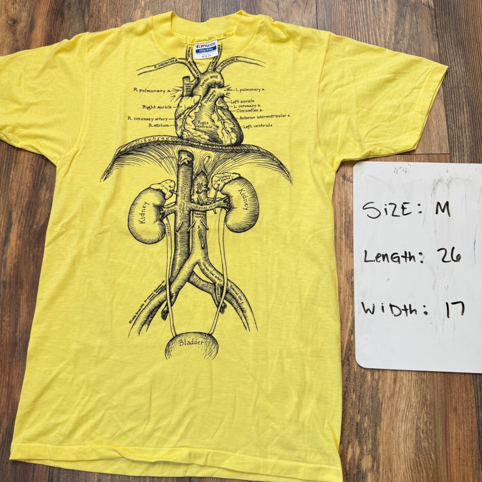 Vintage 1980s Leslie Arwin Anatomy Organ Art T Sh… - image 6