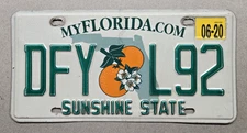 🐾 2009 FLORIDA "PASSENGER" SCENIC LICENSE PLATE (DFY-L92) W/20 RENEW. STKR.