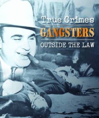 Gangsters: Outside the Law (True Crimes) - Hardcover By Michael Newton - GOOD