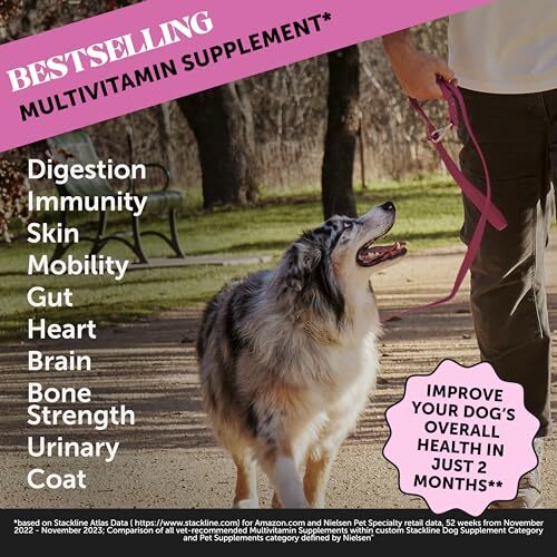 Multivitamin Dog Supplement, Glucosamine chondroitin for Dogs