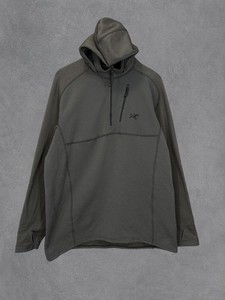 Arc`teryx Naga Hoody | eBay