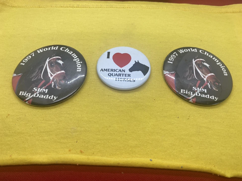 Reloj de carreras de caballos Remington Park 5 de septiembre de 1999/3 pines Oklahoma City, Ok#24-91 Foto 4 de 4