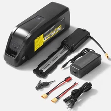 Hailong 48V20Ah Lithium-ion E-Bike Battery For ≤1000W Motor 40A BMS--4PIN Base