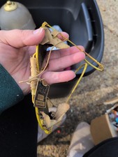 antique jaguar sunglasses