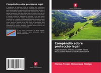 Marius-TréSor Mimolokwa Madigo | CompêNdio Sobre ProtecçãO Legal | Taschenbuch