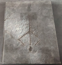 Buy Bloodborne Collector's Edition Strategy Guide online | eBay