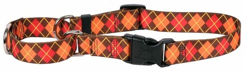 Yellow Dog Design XS Martingale Collar FALL Argyle Safe 10" Extra Small - Picture 5 of 5