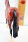 Bild 8 von 9