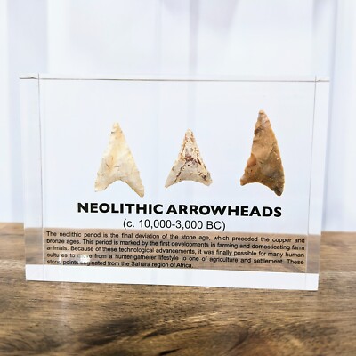 Neolithic Arrowhead Points - Lucite Acrylic Artifact Display
