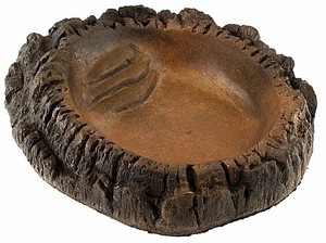reptile dish