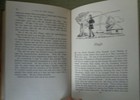 Bild 7 von 12