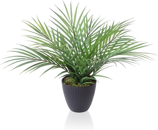 Crosofmi Kunstpflanze 35 Cm Mini KüNstliche Pflanze Areca Palme Kunstpflanze-image