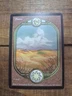 MTG Plains Unglued 84/94 Regular Basic Land Magic The Gathering
