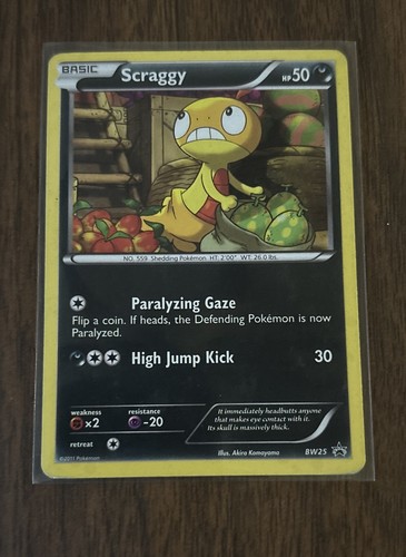 Scraggy - (Cracked Ice Holo) BW25 Black & White Holo