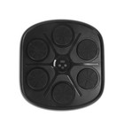 Boxing Training Music Electronic Boxing Wall Target Smart Wall Mounted Combat AU