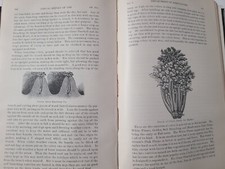 Antique 1897 3rd Annual Report of the Pennsylvania PA Dept Agriculture Farming
