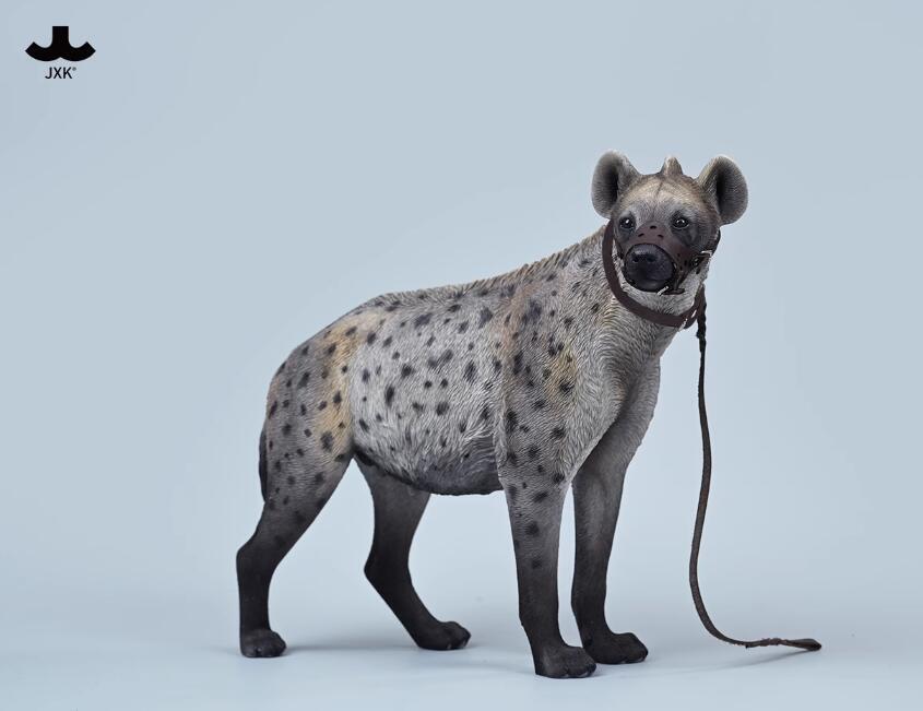 JXK African Hyena JXK215B1 1/6 Figure Resin Model Statue Wild