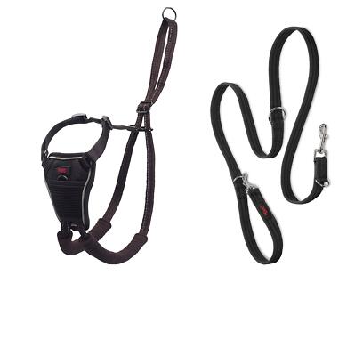 Halti No Pull Geschirr und Trainingsleine Kombi-Pack Stop Dog Pulling on Walk...
