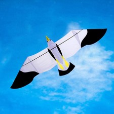 Eagle Kite for Kids Adults Lightweight 3D 78.74x27.56inch Novelty Easy to Fly