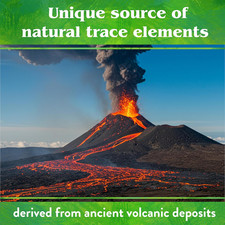 Organic Azomite Powder Trace Minerals - Essential Minerals for Improving Plan...