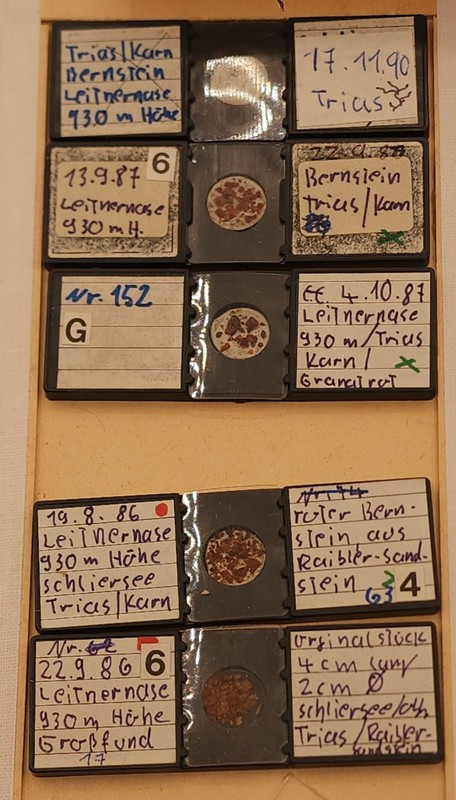 Vintage Box of Antique PREPARED SLIDES- TRIASSIC AMBER Specimens- 34 In Total