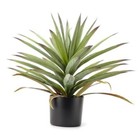 20” Tall Artificial Agave in Pot Lifelike Faux Bonsai for Home Corn Plant Green