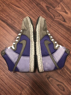 nike dunk earthquake