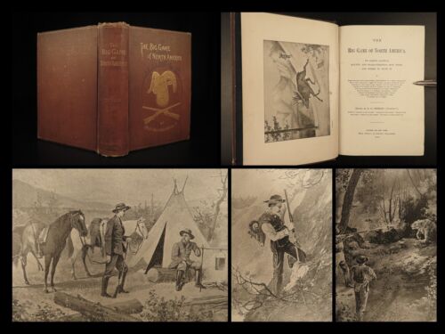 1890 1ed Big Game Hunting of North America Deer Polar Bears Caribou Wolves - Picture 1 of 12