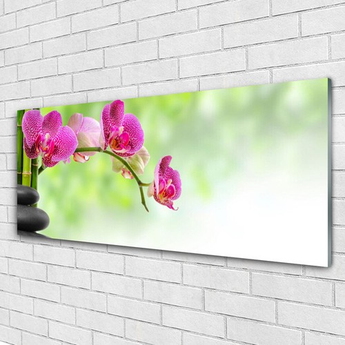 Tableau Verre Fleur Lotus Tableau Verre Trempé Panoramique 125x50