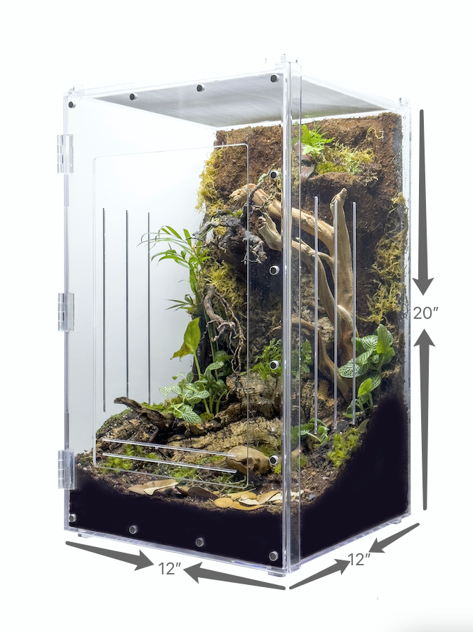 Acrylic Reptile Wholesale Reptile Herpcult Acrylic Reptile