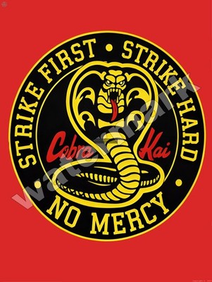Cobra Kai Strike First Strike Hard No Mercy Metal Sign 9'' x 12'' or 12'' x 16''