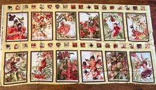 Autumn Fairies Flower Panel Fabric Michael Miller Cicely Mary Baker 23" x 45"
